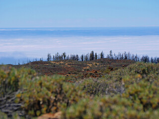 Spectacular mountain view above the clouds from the mirador in Teide Volcano National Park,...