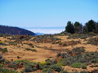 Spectacular mountain view above the clouds from the mirador in Teide Volcano National Park, Tenerife, Canary Islands