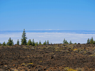Spectacular mountain view above the clouds from the mirador in Teide Volcano National Park,...