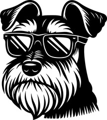 Obraz premium Cool Schnauzer Dog with Sunglasses