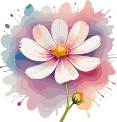 Fototapeta premium Colorful blooming Cosmos flower clipart, watercolor illustration, floral design element for card, October’s birth month flowers, spring, decoration, summer, gardening, wildflowers, botany, vintage