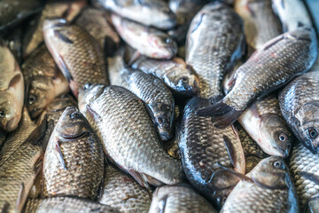 Small fresh fish on market, fish background