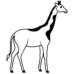 giraffe vector illustration