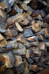 There's firewood in the closet. Stacked firewood. Storage of firewood.