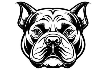 bulldog face vector illustration 