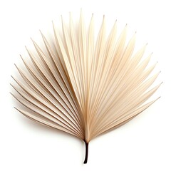 Beautiful minimal art piece featuring a single palm leaf. Be a symbol of peace and tranquility, and the neutral colors make it perfect to any home or office.
