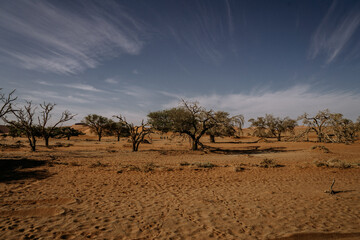 Fototapeta premium Namibia Dunes Big Daddy Deadvlei