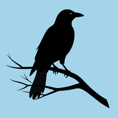 Crow setting on a branch vector silhouette