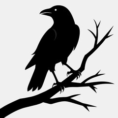 Crow setting on a branch vector silhouette