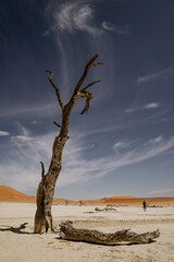 Namibia Deadvlei Sossusvlei Dunes