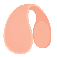Pink ears muffs. vector illustration