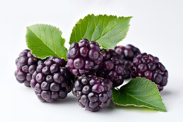 Close-up of mulberry berry isolated on white background, generative ai