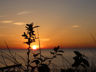 Sunset on the Baltic Sea in Markgrafenheide near Rostock
