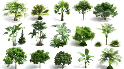 Set of variety plants and trees on white background