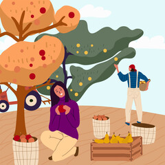 Vector flat illustration of fall harvest, characters of people picking organic fruits and vegetables in an orchard.