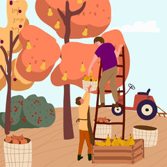 Vector flat illustration of fall harvest, characters of people picking organic fruits and vegetables in an orchard.