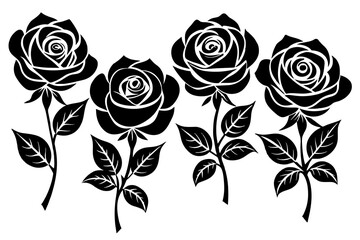 rose flower set silhouette vector illustration