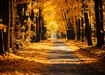 A paved path winds through a forest of trees with golden leaves
