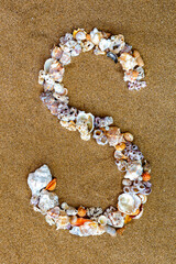 The letter S of the English alphabet, a letter made of seashells on the sand.