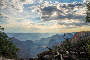 view of Grand Canyon through the trees with sunburst through the clouds