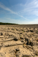 plowed soil field  