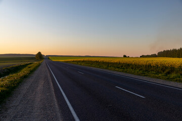 an asphalt road in a field and forest at sunset