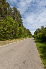 Fototapeta premium a country road of good quality in spring in a deciduous forest