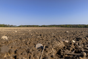 preparing the soil for sowing in spring