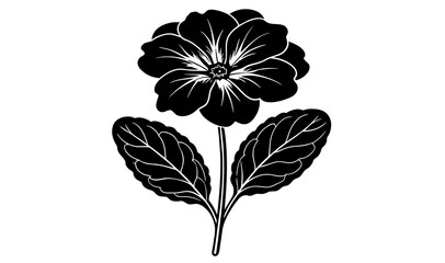 primrose flower silhouette vector illustration