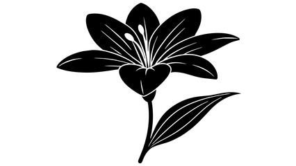 zephyrettes flower silhouette vector illustration