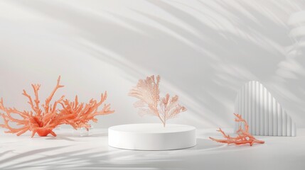 A minimalist white platform surrounded by delicate coral branches, elegantly lit with soft shadows and sunlight, presenting a peaceful and serene setting.