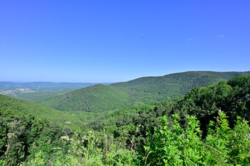 A panoramic view of lush green hills and dense forests under a clear blue sky, showcasing a serene natural landscape.
