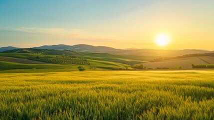 Field with hills and setting sun