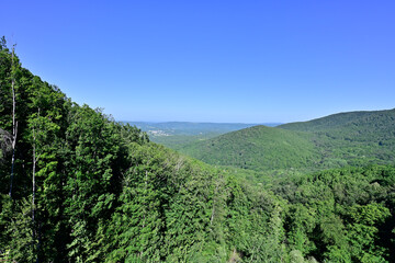 A panoramic view of lush green hills and dense forests under a clear blue sky, showcasing a serene natural landscape.
