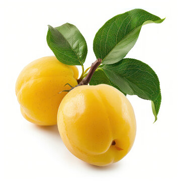  Aprium fruit on white background