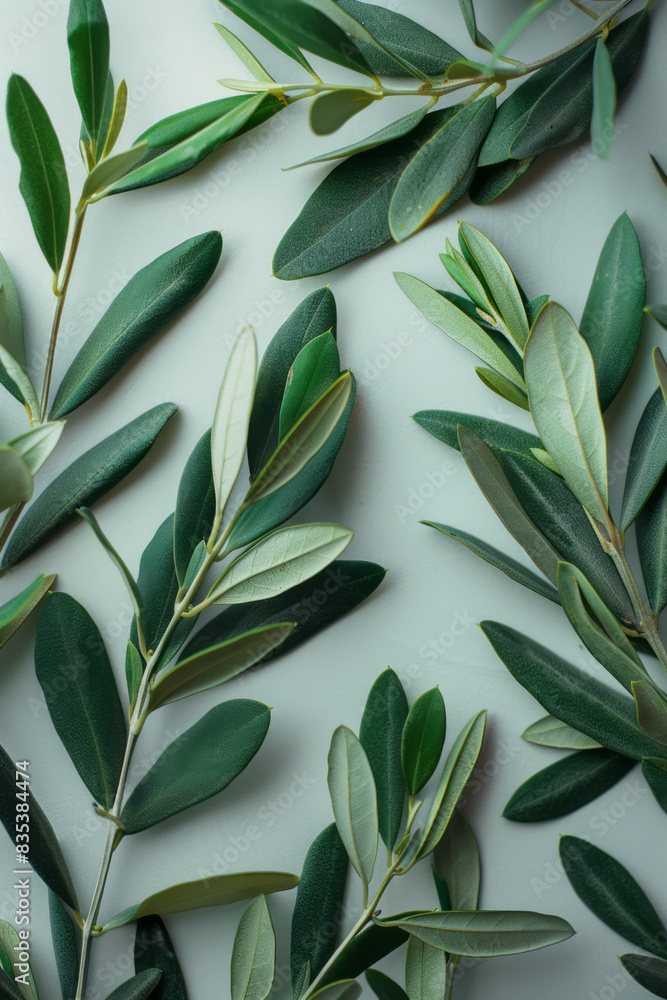 Aufkleber an artistic arrangement of multiple olive branches forming a circular pattern on a plain background,