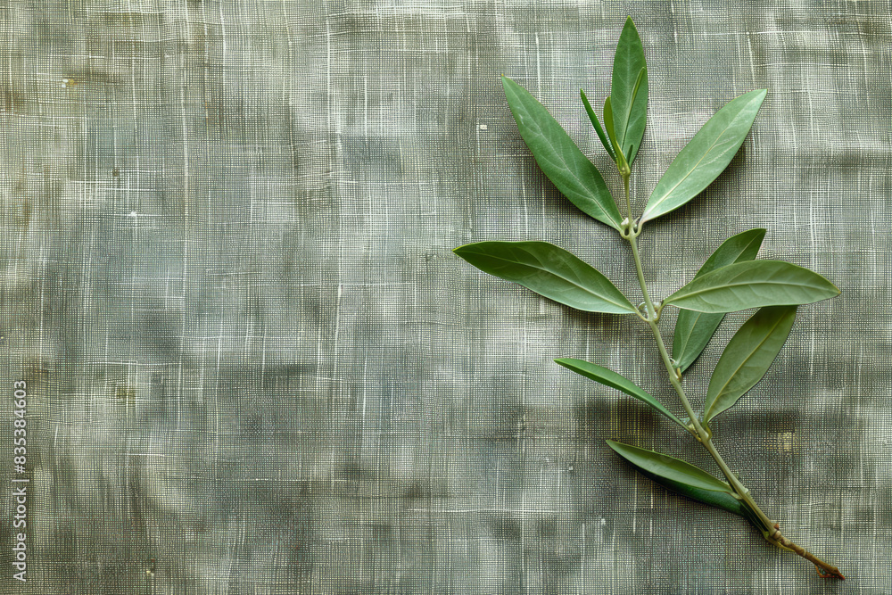 Aufkleber an olive branch placed diagonally across a textured canvas, creating a simple yet striking image,