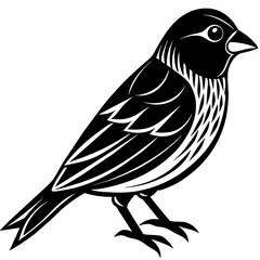 canary-bird-silhouette-black-different-style-vect