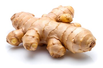 Fresh Ginger Root, A Natural Herbal Traditional Ingredient, Close Up View, Nature Photograph on Isolated White Background