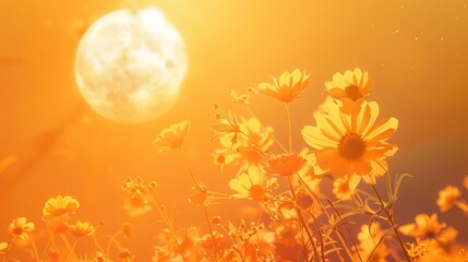 summer solstice background concept with copy space 