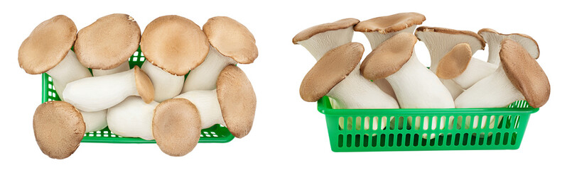 King Oyster mushroom or Eringi in plastic basket isolated on white background with clipping path....