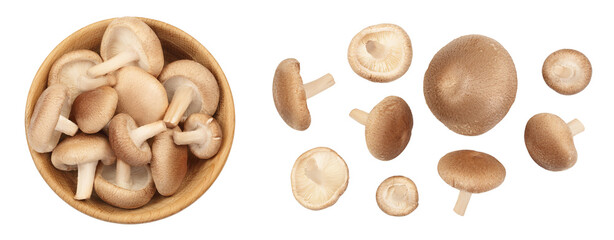 Fresh Shiitake mushroom in a wooden bowl isolated on white background with clipping path. Top view. Flat lay