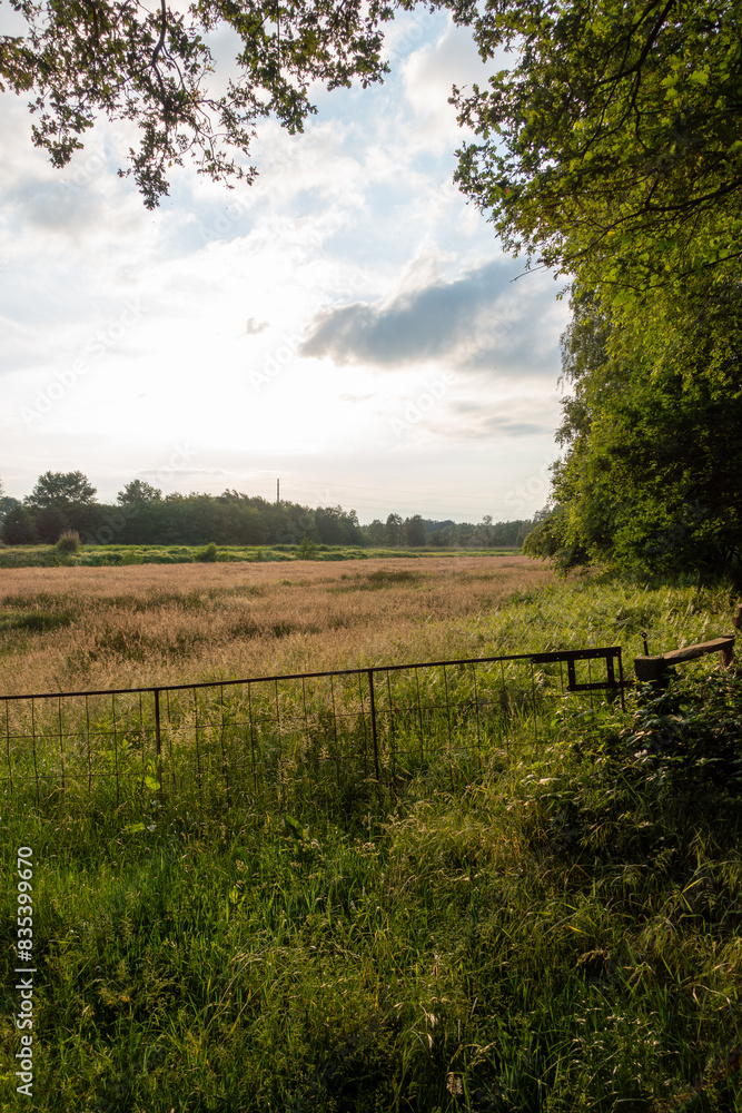 Poster view of a field with a metal fence and trees on a cloudy day