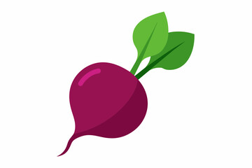 beet food vector illustration