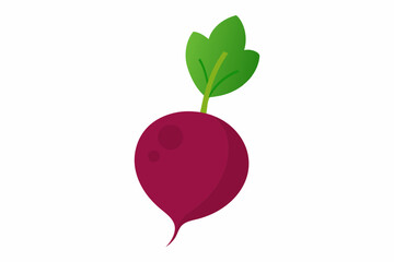 beet food vector illustration