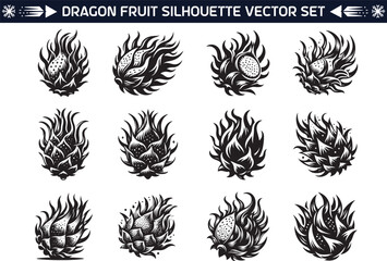 Dragon fruit silhouette vector illustration set