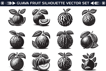 Guava fruit silhouette vector illustration set