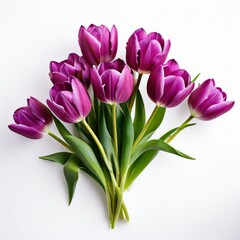 Obraz premium bouquet of pink and white tulips