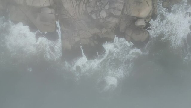 Olas golpeando con rocas con niebla