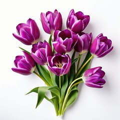 Obraz premium bouquet of pink and white tulips